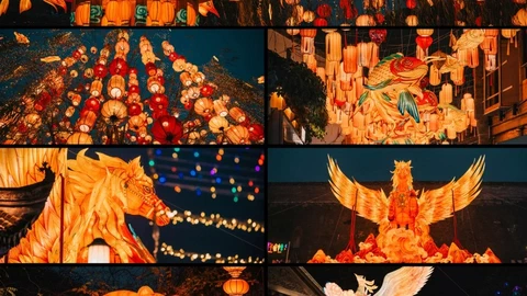 关于2026年春节回家的感受asdasf